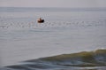 Vietnamese fisher fishing in Mui Ne, Vietnam Royalty Free Stock Photo